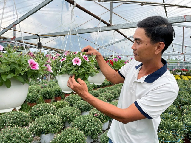 Hoa thơm nở tr&ecirc;n đất kh&oacute; ở Quảng Ng&atilde;i- Ảnh 1.