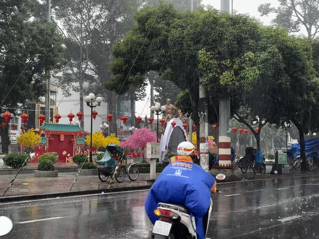 TP.HCM lại xuất hiện mưa tr&aacute;i m&ugrave;a, nh&agrave; vườn b&aacute;n hoa tết lo mất xu&acirc;n  - Ảnh 5.