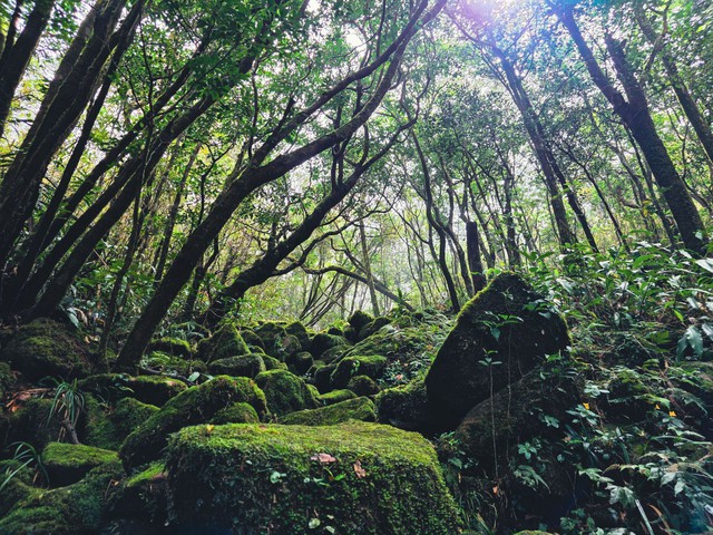 Mở đường chinh phục 'n&oacute;c nh&agrave;'  Quảng Trị  - Ảnh 4.