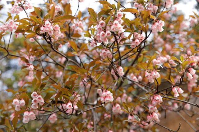 Mở đường chinh phục 'n&oacute;c nh&agrave;'  Quảng Trị  - Ảnh 5.