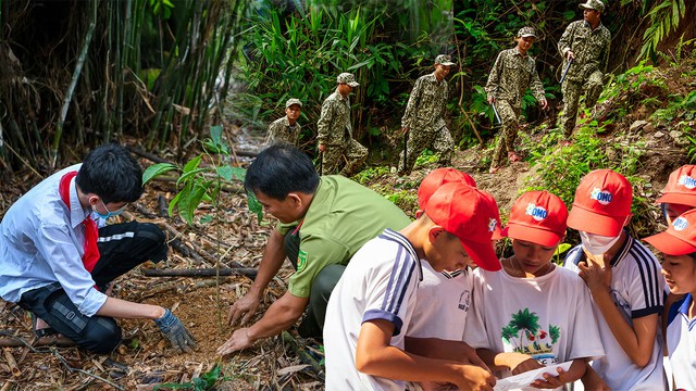 Triệu c&acirc;y con tiếp nối, OMO nối d&agrave;i h&agrave;nh tr&igrave;nh ươm mầm v&igrave; một Việt Nam xanh- Ảnh 1.