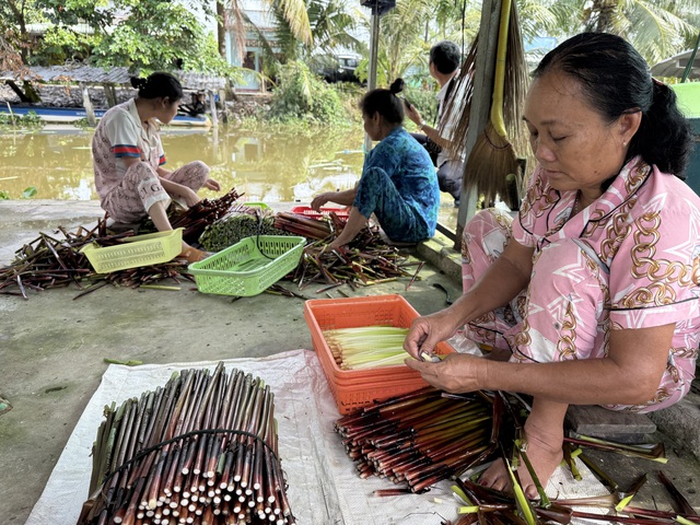 L&agrave;m gi&agrave;u từ 'cỏ dại' ở v&ugrave;ng đất ph&egrave;n mặn - Ảnh 4.