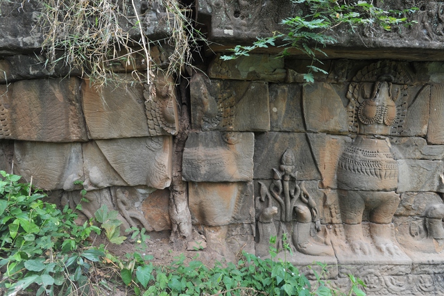 Hành trình mùa xuân theo cánh ngỗng Hamsa- Ảnh 9. Hành trình mùa xuân theo cánh ngỗng Hamsa- Ảnh 9.