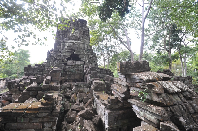 Hành trình mùa xuân theo cánh ngỗng Hamsa- Ảnh 10. Hành trình mùa xuân theo cánh ngỗng Hamsa- Ảnh 10.