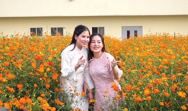 Tết đi chơi đ&acirc;u để l&agrave;m gi&agrave;u trải nghiệm văn h&oacute;a năm 2026? - Ảnh 3.