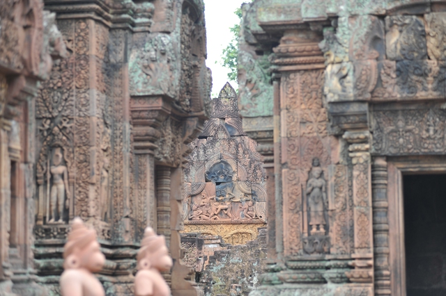 Hành trình mùa xuân theo cánh ngỗng Hamsa- Ảnh 5. Hành trình mùa xuân theo cánh ngỗng Hamsa- Ảnh 5.