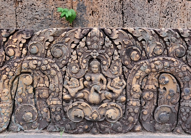 Hành trình mùa xuân theo cánh ngỗng Hamsa- Ảnh 4. Hành trình mùa xuân theo cánh ngỗng Hamsa- Ảnh 4.