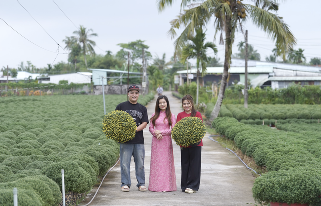 Đơn h&agrave;ng c&acirc;y cảnh hoa tết tăng gấp 5 lần tr&ecirc;n s&agrave;n thương mại điện tử- Ảnh 1.