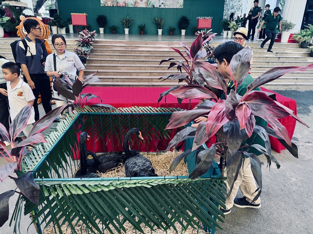 Thảo Cầm Vi&ecirc;n S&agrave;i G&ograve;n lần đầu cho ngựa l&ugrave;n, d&ecirc;, cừu... 'du xu&acirc;n' dịp tết - Ảnh 2.