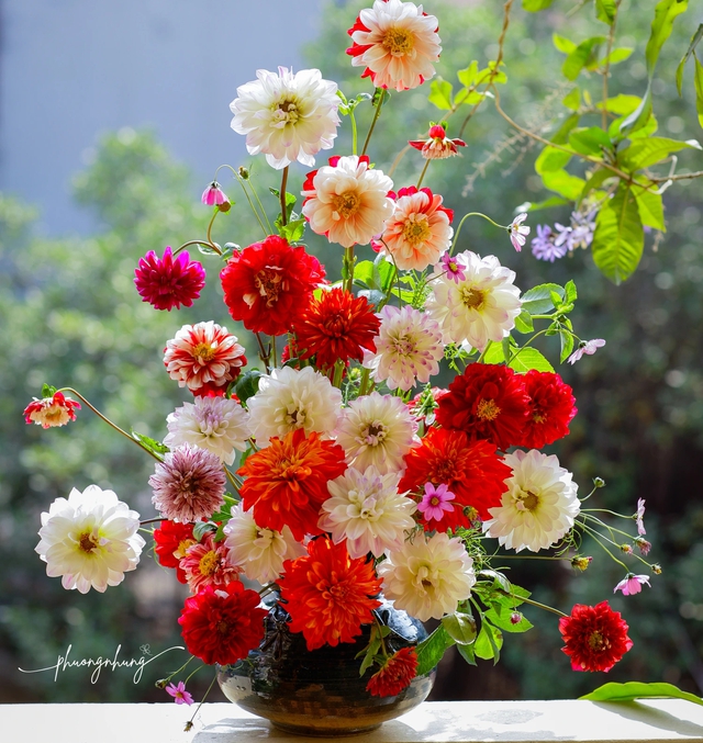 Chưng hoa ng&agrave;y tết: Chọn hoa g&igrave; cho thu h&uacute;t t&agrave;i lộc v&agrave; cắm sao cho đẹp?- Ảnh 4.