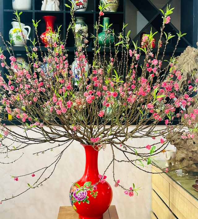 Chưng hoa ng&agrave;y tết: Chọn hoa g&igrave; cho thu h&uacute;t t&agrave;i lộc v&agrave; cắm sao cho đẹp?- Ảnh 5.