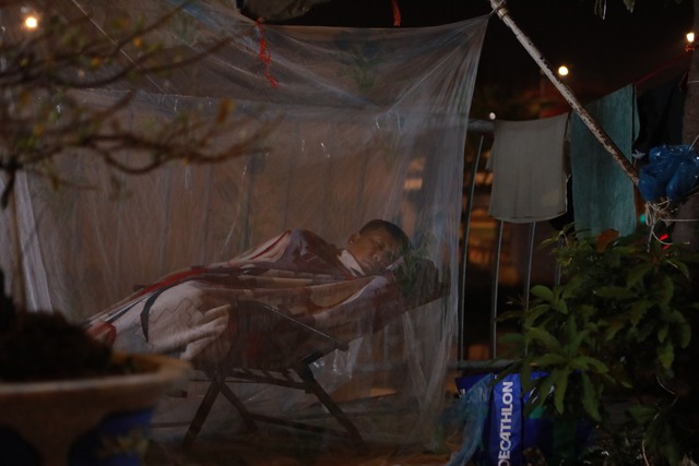 Trắng đ&ecirc;m canh hoa tết ở bến B&igrave;nh Đ&ocirc;ng - Ảnh 9.