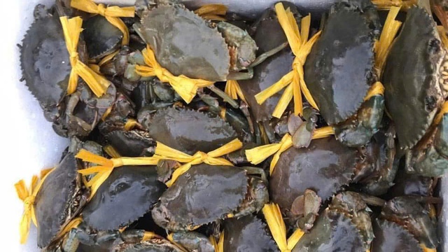 27 tết, cua C&agrave; Mau sắp chạm mức 1,2 triệu đồng/kg- Ảnh 1.