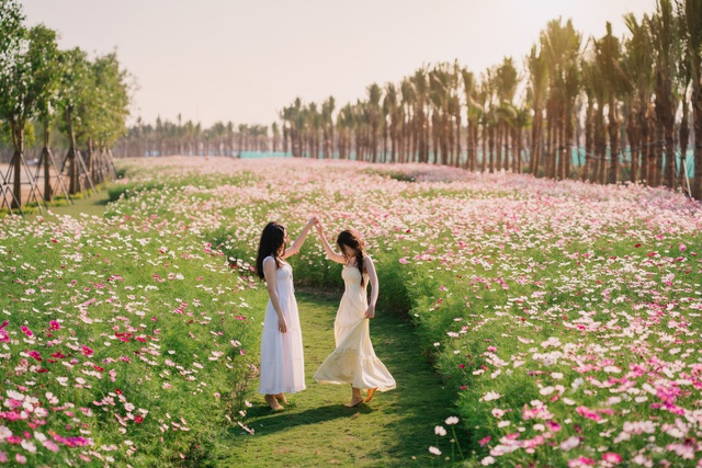 Ecopark tr&agrave;n ngập sắc hoa c&aacute;c đại đ&ocirc; thị khắp 3 miền dịp Tết B&iacute;nh Ngọ 2026- Ảnh 6.