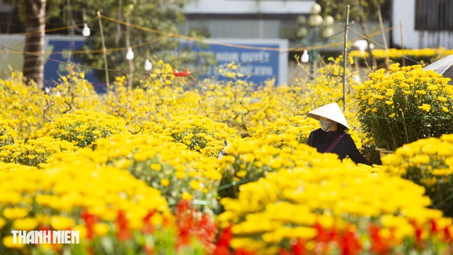 Quảng Trị: Phố phường Nam Đông Hà rực rỡ cờ hoa chào xuân Bính Ngọ- Ảnh 4. Quảng Trị: Phố phường Nam Đông Hà rực rỡ cờ hoa chào xuân Bính Ngọ- Ảnh 4.