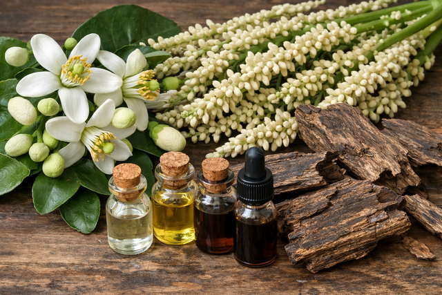 Hương bưởi, hương cau ng&agrave;y tết gi&uacute;p thư gi&atilde;n tinh thần, giảm lo &acirc;u - Ảnh 1.