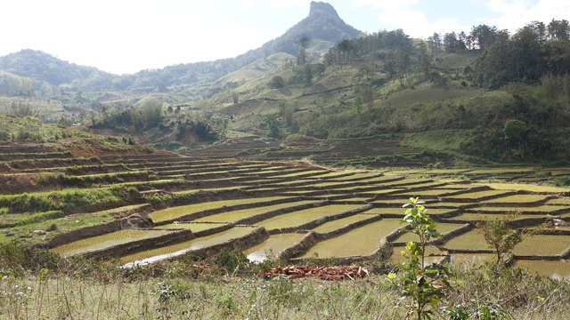 Tết ở xứ mưa 9 th&aacute;ng: &lsquo;Đặc sản&rsquo; giữa thung lũng Peng Lang- Ảnh 6.