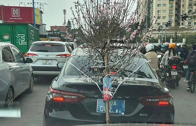 Xe biển xanh buộc cành đào che lấp biển số bị xử lý - Ảnh 1.