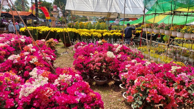 Giữ tết truyền thống qua chợ hoa xu&acirc;n- Ảnh 2.