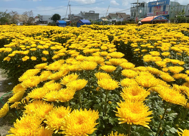 Chợ hoa ng&agrave;y 28 tết: nơi tấp nập người mua, chỗ đ&igrave;u hiu ng&oacute;ng kh&aacute;ch- Ảnh 1.