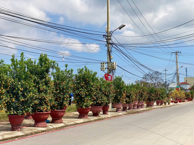 Chợ hoa ng&agrave;y 28 tết: nơi tấp nập người mua, chỗ đ&igrave;u hiu ng&oacute;ng kh&aacute;ch- Ảnh 7.