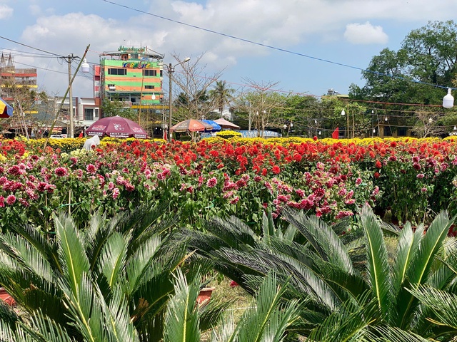 Chợ hoa ng&agrave;y 28 tết: nơi tấp nập người mua, chỗ đ&igrave;u hiu ng&oacute;ng kh&aacute;ch- Ảnh 6.