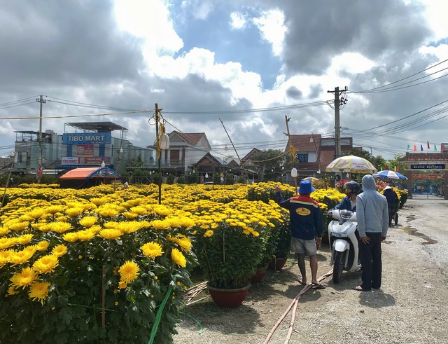 Chợ hoa ng&agrave;y 28 tết: nơi tấp nập người mua, chỗ đ&igrave;u hiu ng&oacute;ng kh&aacute;ch- Ảnh 5.