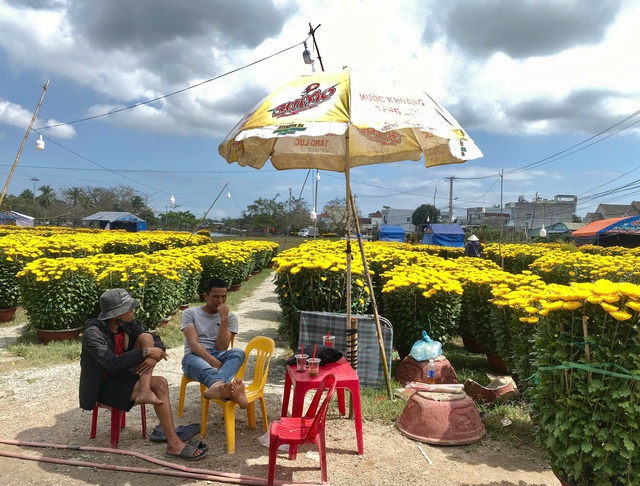 Chợ hoa ng&agrave;y 28 tết: nơi tấp nập người mua, chỗ đ&igrave;u hiu ng&oacute;ng kh&aacute;ch- Ảnh 3.