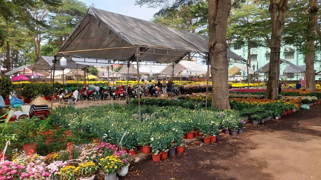 Giữ tết truyền thống qua chợ hoa xu&acirc;n- Ảnh 4.