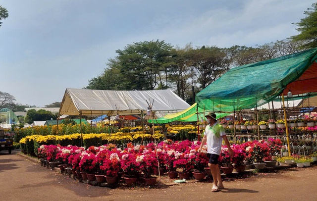 Giữ tết truyền thống qua chợ hoa xu&acirc;n- Ảnh 5.