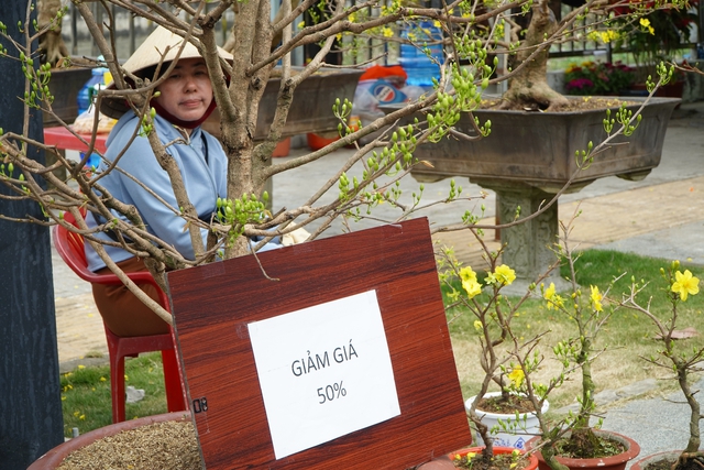 Người b&aacute;n hoa ở Cần Thơ: &ldquo;Treo biển giảm gi&aacute; đau l&ograve;ng lắm&rdquo;- Ảnh 1.