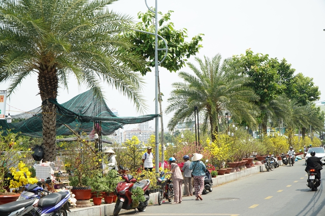 Người b&aacute;n hoa ở Cần Thơ: &ldquo;Treo biển giảm gi&aacute; đau l&ograve;ng lắm&rdquo;- Ảnh 2.