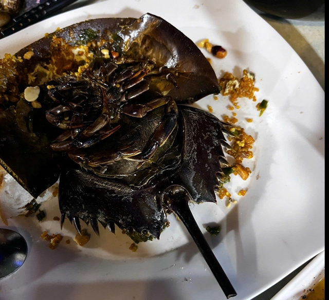 Cà Mau: Ba ca nhập viện nghi ngộ độc, một quán ốc bị tạm dừng hoạt động - Ảnh 1.