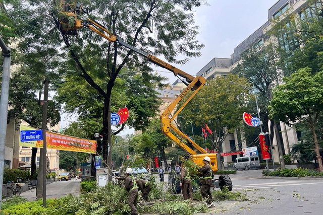 Đề xuất di dời và chặt hạ cây xanh tại Hà Nội giai đoạn 2026 - 2030 - Ảnh 2. Đề xuất di dời và chặt hạ cây xanh tại Hà Nội giai đoạn 2026 - 2030 - Ảnh 2.