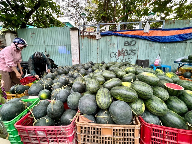 28 tết, dưa hấu chưng b&agrave;n thờ tăng gi&aacute; gấp đ&ocirc;i, gấp ba- Ảnh 6.