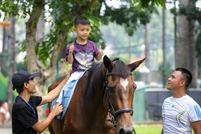 'Phi nước đại' vào Tết Bính Ngọ với 30 câu chúc tết tiếng Anh siêu hay - Ảnh 4.