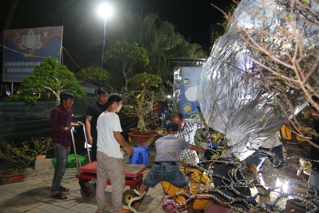 Chợ hoa tết Long Xuyên thức trắng: Đại gia săn mai 'khủng', nhà vườn tranh thủ livetream - Ảnh 3.