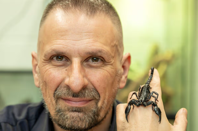 Giải m&atilde; b&iacute; ẩn về bọ cạp chết ch&oacute;c: Những điều cần biết năm 2026 - Ảnh 1.