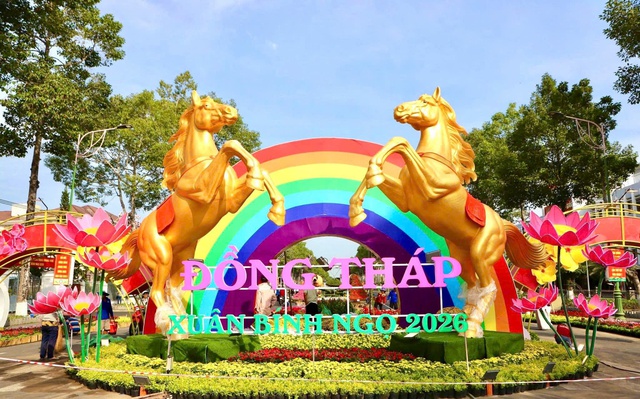 Những đường hoa xu&acirc;n rực rỡ nhất 'xứ hoa' Đồng Th&aacute;p- Ảnh 3.