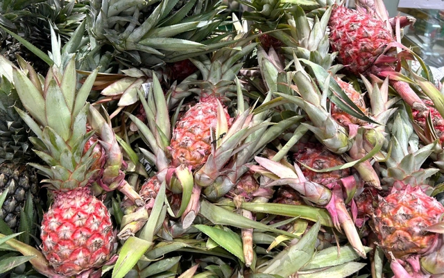 Bao nhiêu tiền cho mâm ngũ quả dịp Tết Bính Ngọ?- Ảnh 4. Bao nhiêu tiền cho mâm ngũ quả dịp Tết Bính Ngọ?- Ảnh 4.