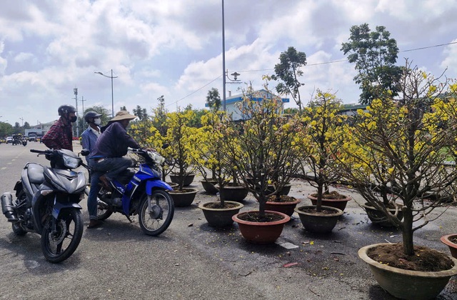 Chợ hoa 29 tết: Khi &aacute;p lực c&ocirc;ng việc v&agrave; t&acirc;m l&yacute; 'chờ gi&aacute; rẻ' gặp nhau - Ảnh 1.