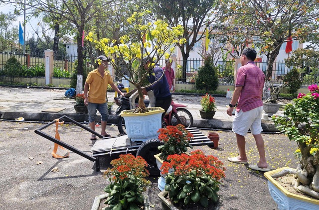 Chợ hoa 29 tết: Khi &aacute;p lực c&ocirc;ng việc v&agrave; t&acirc;m l&yacute; 'chờ gi&aacute; rẻ' gặp nhau - Ảnh 2.