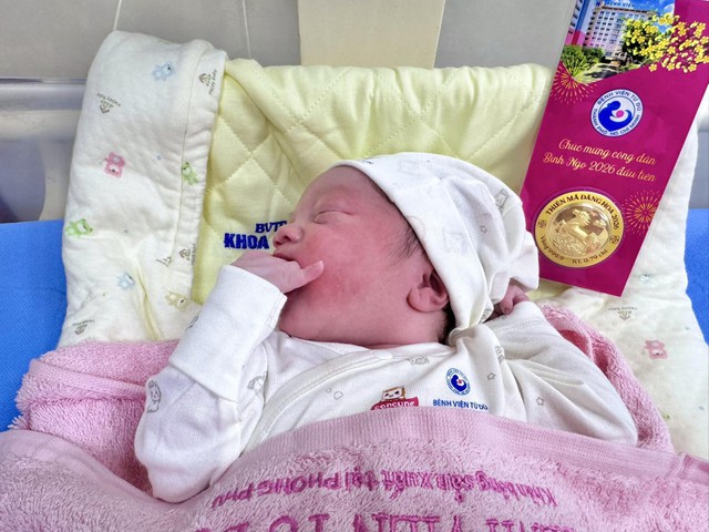 Bệnh viện Từ Dũ tặng v&agrave;ng may mắn cho những 'em b&eacute; B&iacute;nh Ngọ' đầu ti&ecirc;n- Ảnh 1.