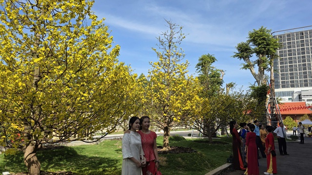 D&acirc;ng hương B&aacute;c Hồ giữa kh&ocirc;ng gian xu&acirc;n trang nghi&ecirc;m ở Tỉnh ủy Đồng Nai - Ảnh 3.