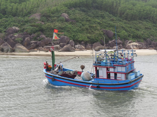 Ba hồi trống khai ch&aacute;nh, t&agrave;u c&aacute; của ngư d&acirc;n Quảng Ng&atilde;i rẽ s&oacute;ng đầu năm- Ảnh 5.