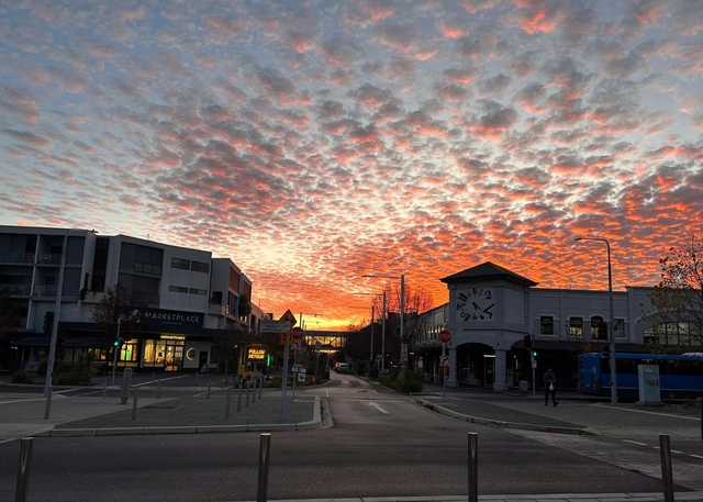 Tết không chỉ là nơi mình ở, mà là nơi mình thuộc về - Ảnh 2.