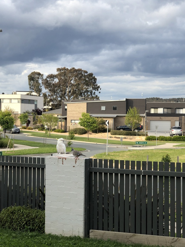 Tết không chỉ là nơi mình ở, mà là nơi mình thuộc về - Ảnh 3.