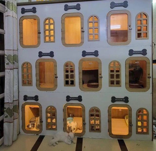 Gửi đồ đạc, t&agrave;i sản, th&uacute; cưng ở đ&acirc;u trước khi về qu&ecirc; đ&oacute;n tết ?- Ảnh 2.