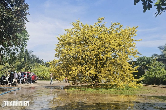 Nhiệt độ cao nhất Nam bộ h&ocirc;m nay l&agrave; 36,2 độ C, xuất hiện ở đ&acirc;u?
- Ảnh 1.