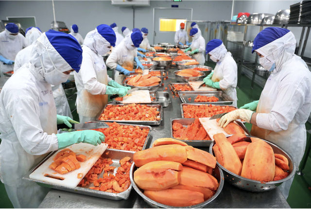 Xuất khẩu rau quả đạt 'kỷ lục kép', kỳ vọng lập đỉnh 10 tỉ USD- Ảnh 1. Xuất khẩu rau quả đạt 'kỷ lục kép', kỳ vọng lập đỉnh 10 tỉ USD- Ảnh 1.